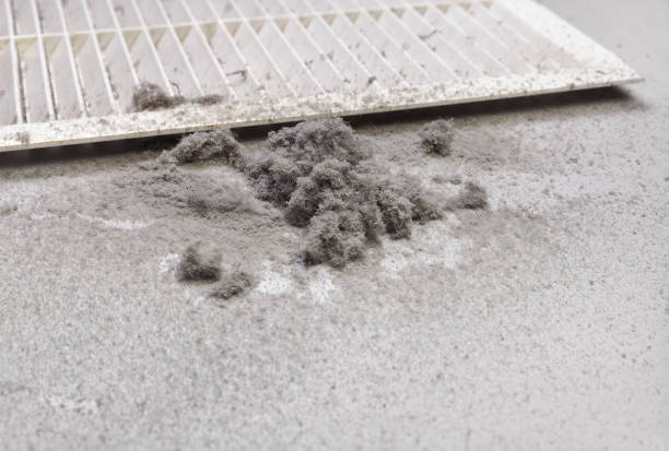 Best Air Duct Cleaning Near Me  in Sa De Oro Mount Helix, CA