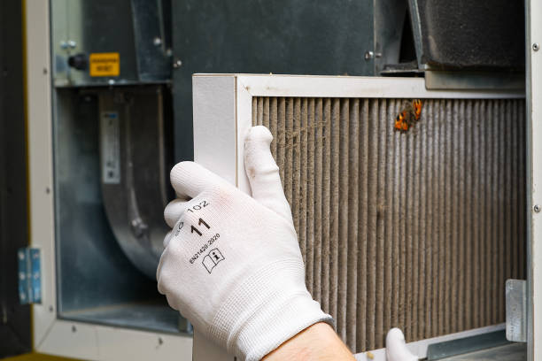 Best Residential Air Duct Cleaning  in Sa De Oro Mount Helix, CA