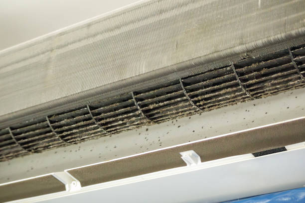Best Affordable Duct Cleaning Services  in Sa De Oro Mount Helix, CA