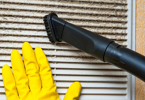 Best Air Duct Cleaning Near Me  in Sa De Oro Mount Helix, CA
